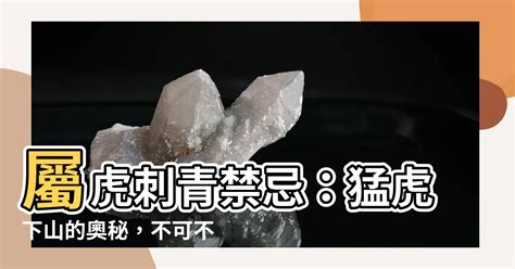 水鐘消防 屬虎刺青禁忌